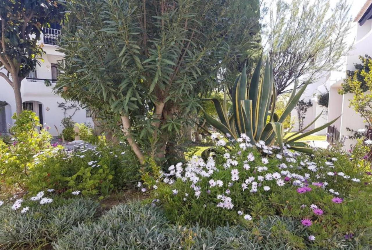 Apartment Sao Rafael Holidays อัลบูเฟรา ภายนอก รูปภาพ